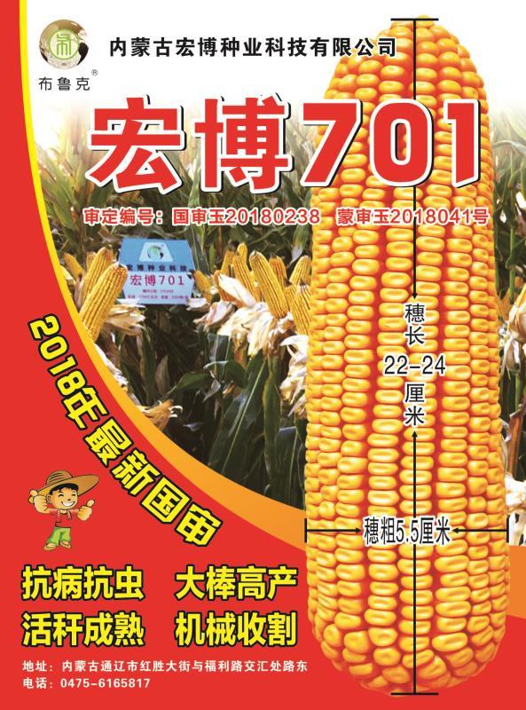 宏博701玉米种子